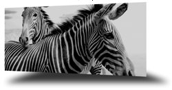 DEMO - Horisontal 1 Cube